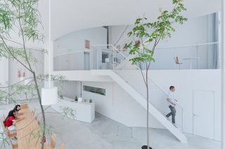 Shibaura Office,Tokyo - Kazuyo Sejima, SANAA | Iwan Baan